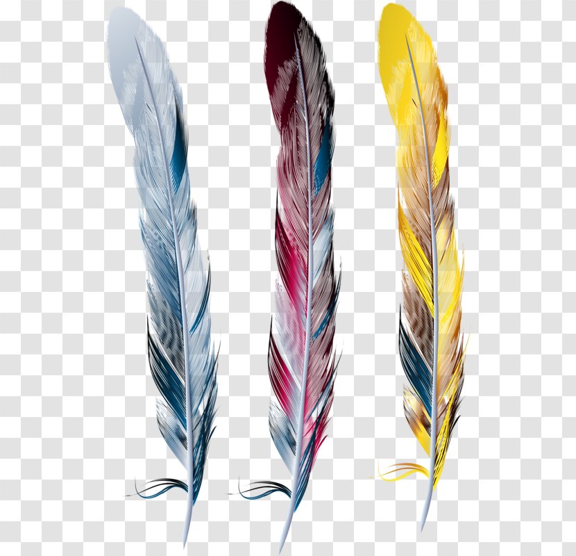 Feather Drawing Picture Frames Clip Art - Paper Transparent PNG