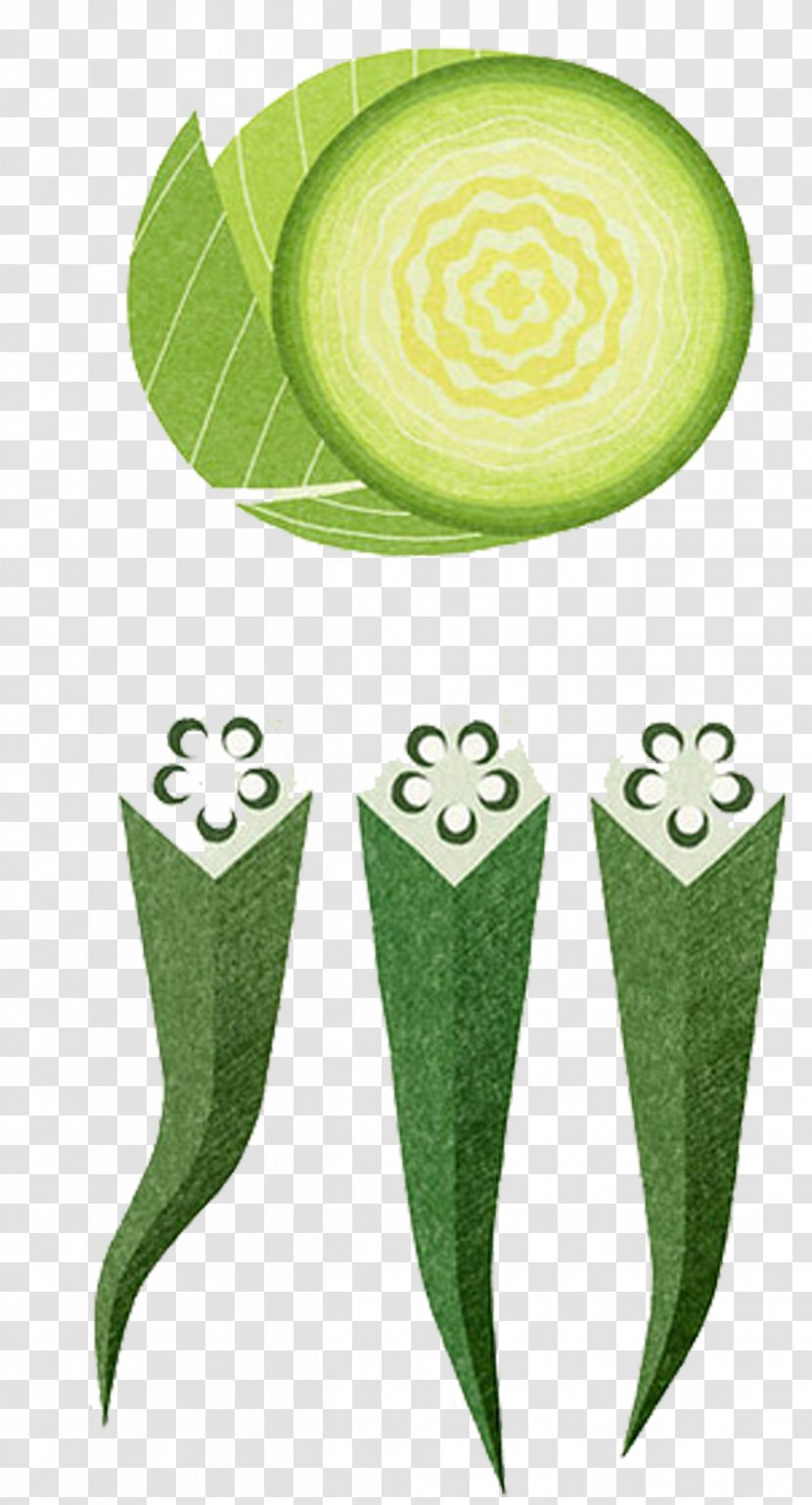 Okra Vegetable Painting Illustration - Grass - Hand-painted Cabbage Transparent PNG