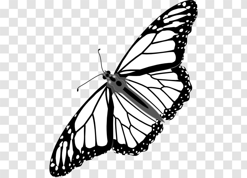Monarch Butterfly Clip Art - Public Domain - Cartoon Transparent PNG