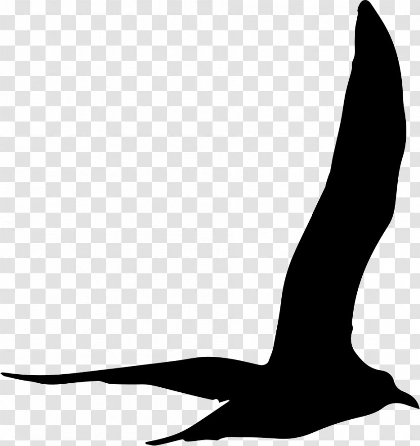 Gulls Silhouette - Frame Transparent PNG