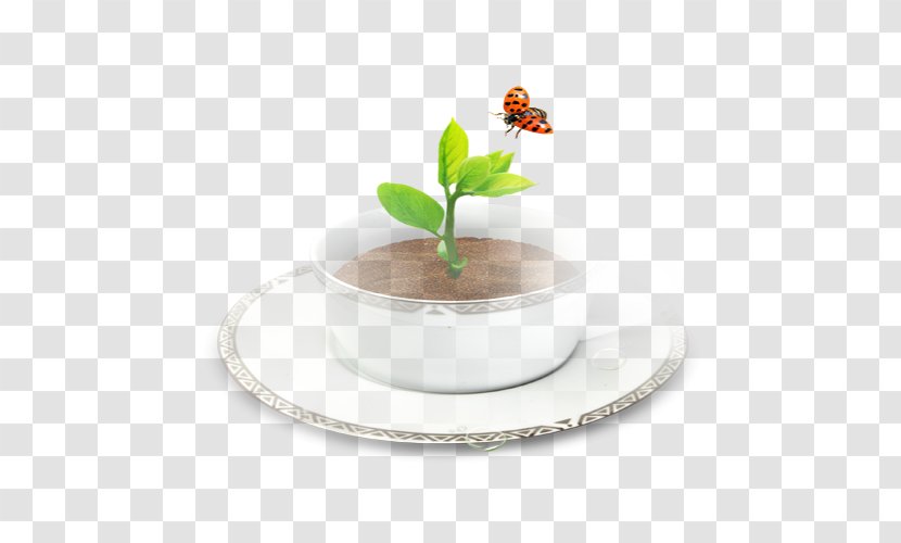 Coffee Cup Insect Butterfly - Flower Transparent PNG