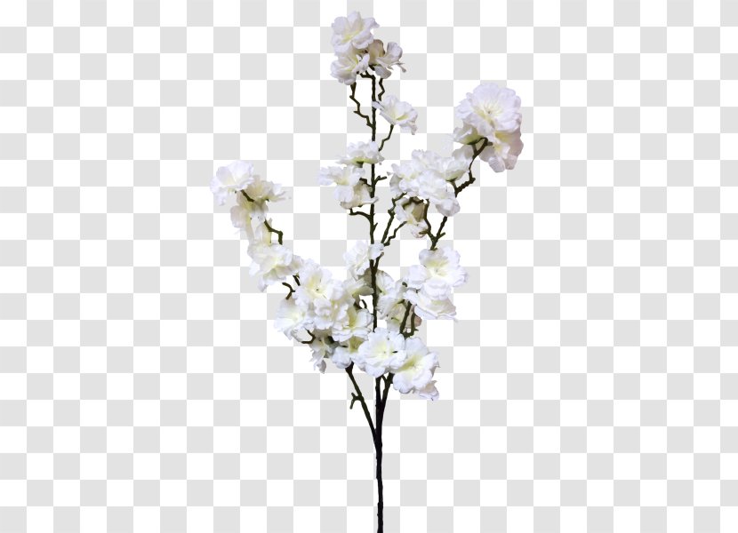 Cherry Blossom Flower Floral Design - Branch Transparent PNG