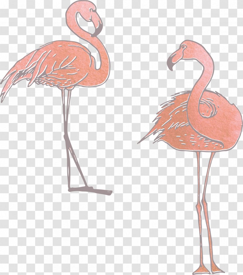 Flamingos Adobe Illustrator - Designer - Orange Pink Transparent PNG