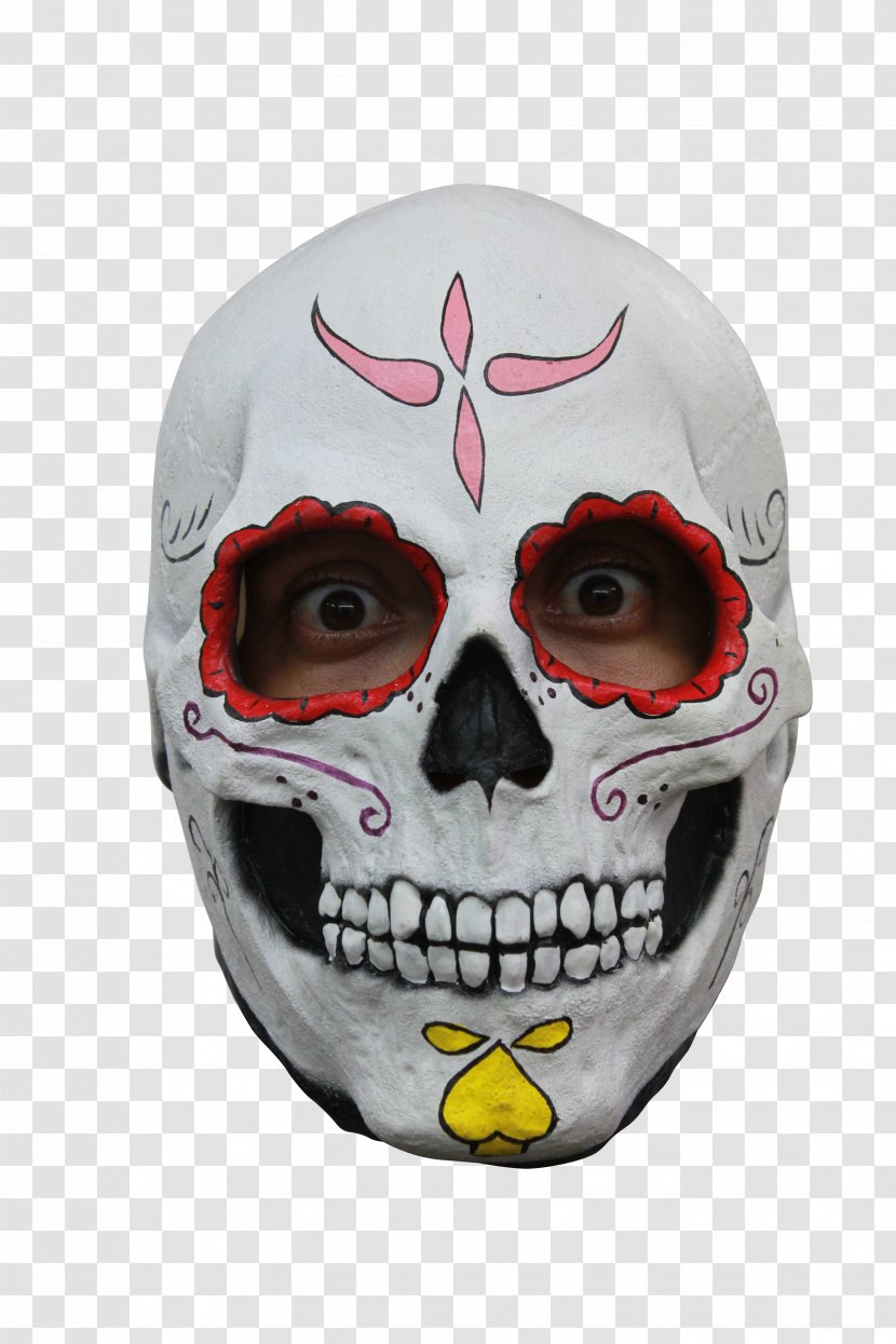 Day Of The Dead Skull - Skeleton - Glasses Masque Transparent PNG