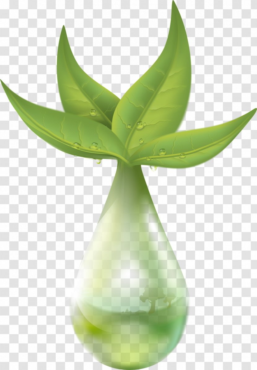 Pixabay Extraction Drop Illustration - Green Plants Transparent PNG