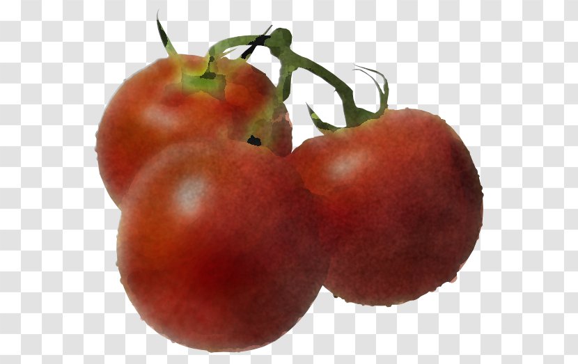 Tomato - Superfood - Plum Transparent PNG