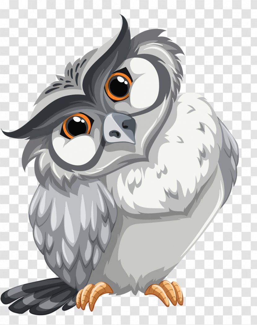 Owl Bird Coloring Book Drawing - Beak Transparent PNG