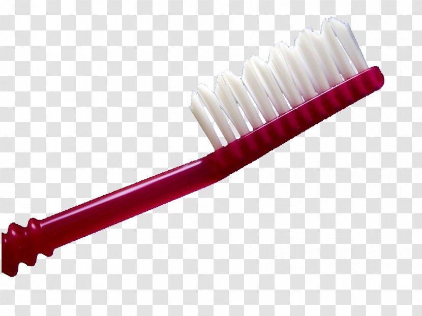 Toothbrush Disposable Google Images Transparent PNG