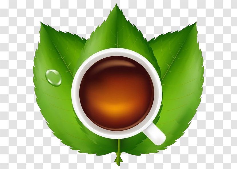 Teacup Green Tea Earl Grey Leaf - Coffee Cup Transparent PNG