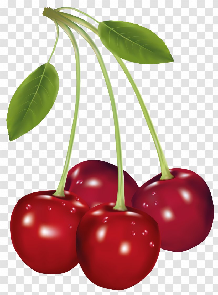 Cherry Fruit Clip Art - Cherries Clipart Picture Transparent PNG