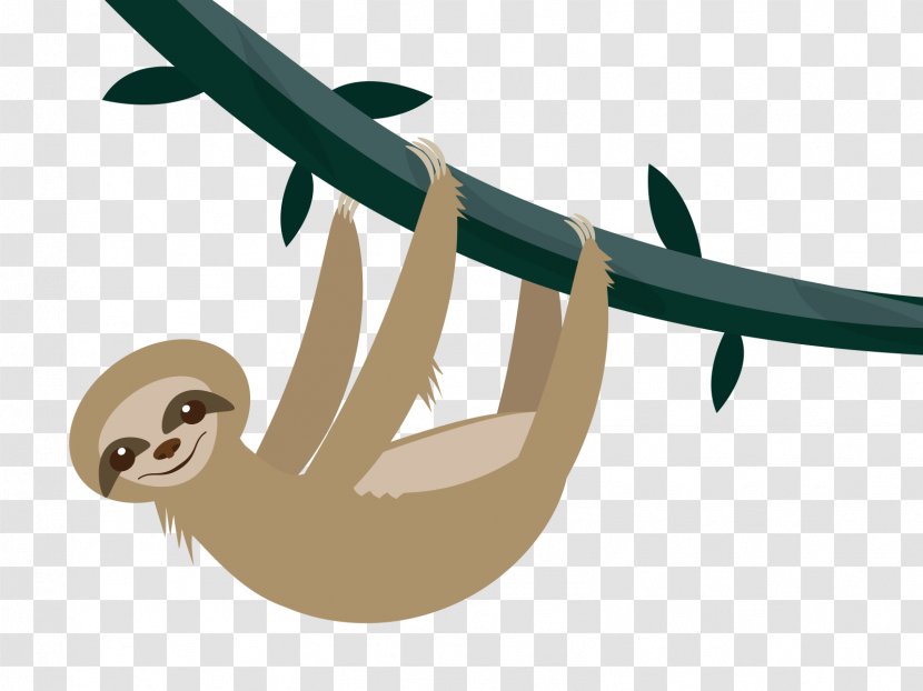 Silicon Valley Sloth Cartoon Clip Art - Wing Transparent PNG