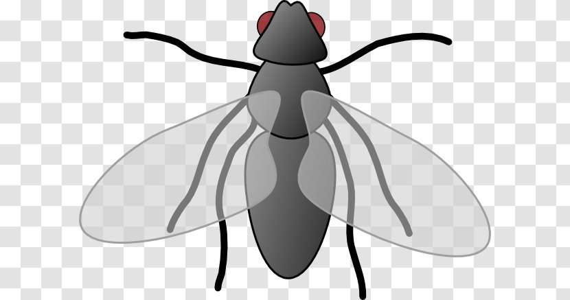Fly Free Content Royalty-free Clip Art - Black And White - Flies Cliparts Transparent PNG