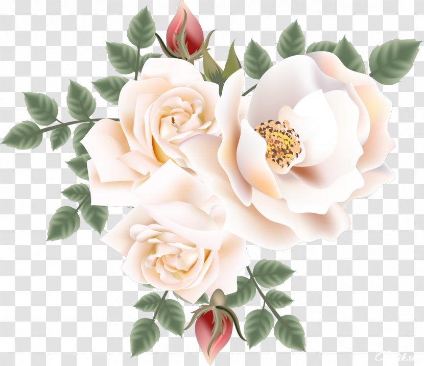 Garden Roses Centifolia Floribunda Clip Art - Cut Flowers - Beautiful Transparent PNG