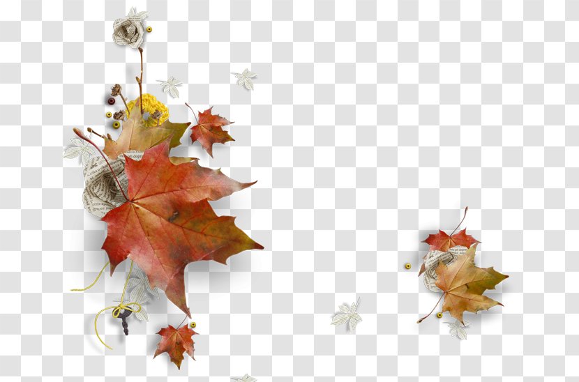 Autumn Clip Art Image GIF - Drawing Transparent PNG