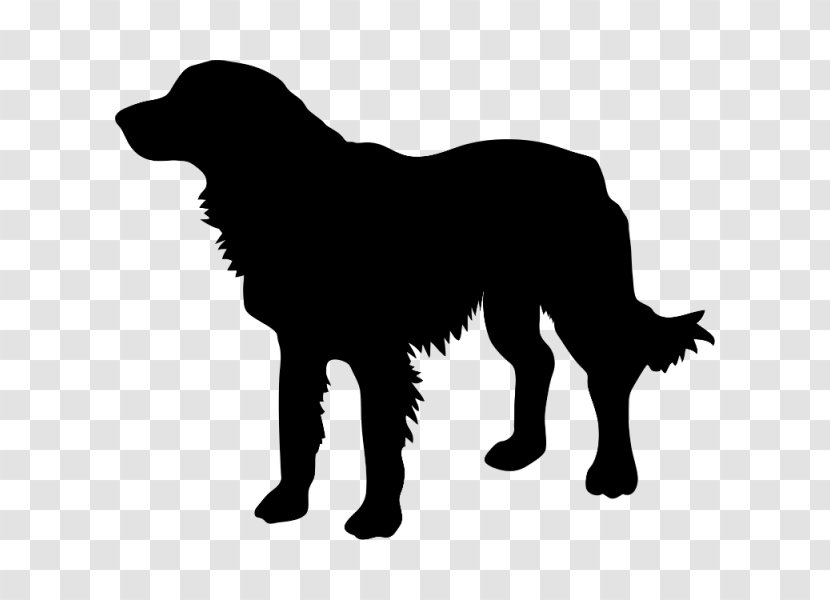 Golden Retriever Labrador Silhouette Photography Transparent PNG