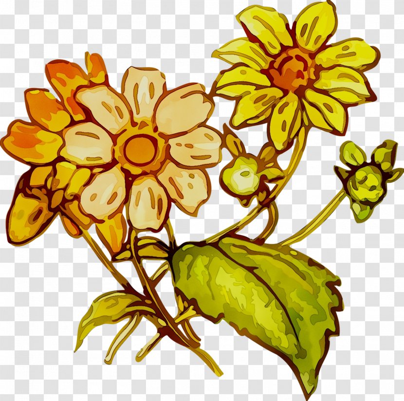 Floral Design Cut Flowers Food Plant Stem - Flower Transparent PNG