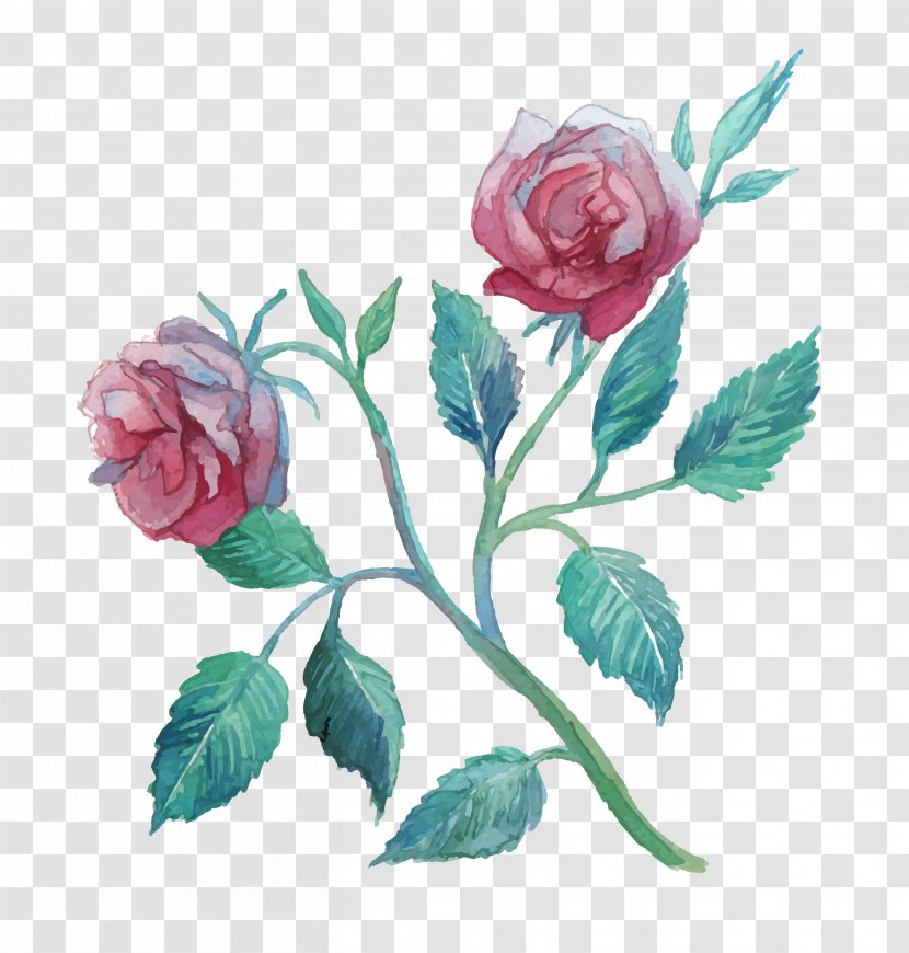 Flower Watercolor Painting Clip Art - Petal - Rose Transparent PNG