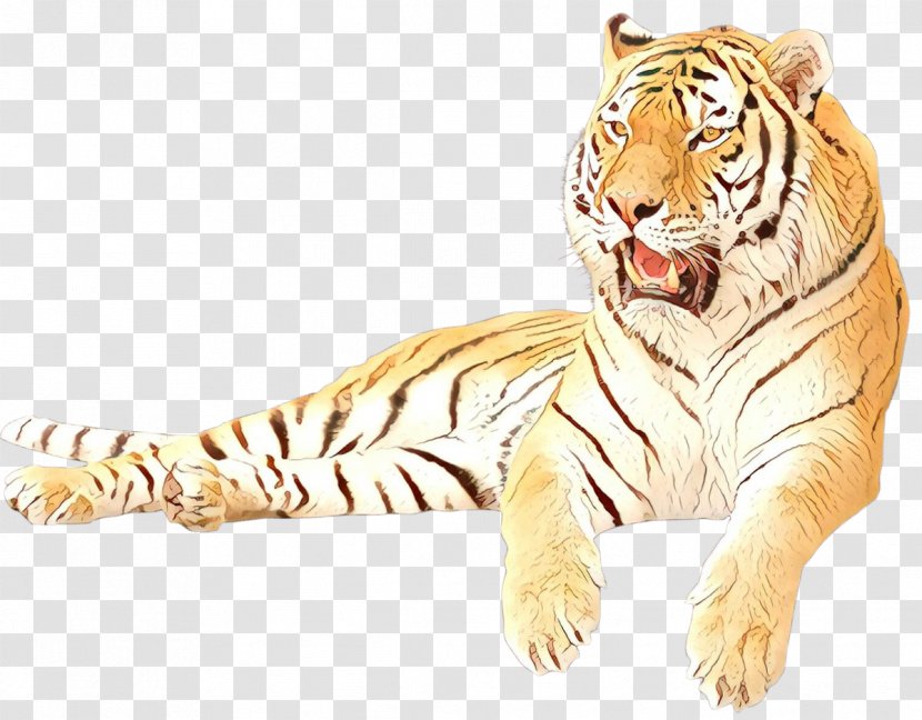 Clip Art Image White Tiger Jaguar - Big Cats - Felidae Transparent PNG