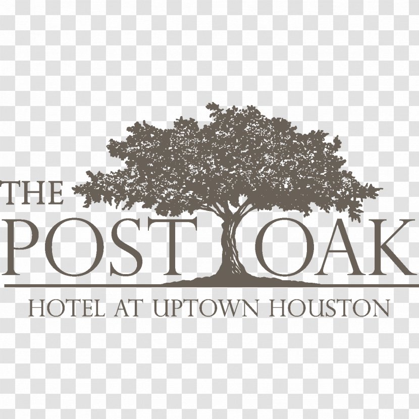 The Post Oak Hotel At Uptown Houston Hilton Garden Inn Houston/Galleria Area Boulevard - Texas Transparent PNG