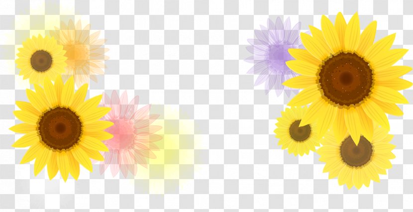 Common Sunflower Euclidean Vector Pattern - Background Element Elements Transparent PNG