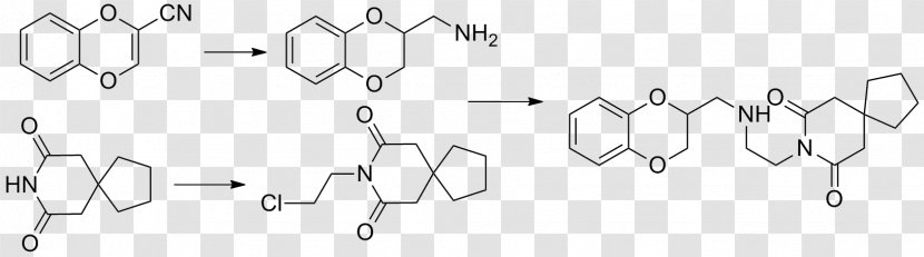 Xanthophyll Carotene Fluorescein Chromatography Catalysis - Frame - Tree Transparent PNG