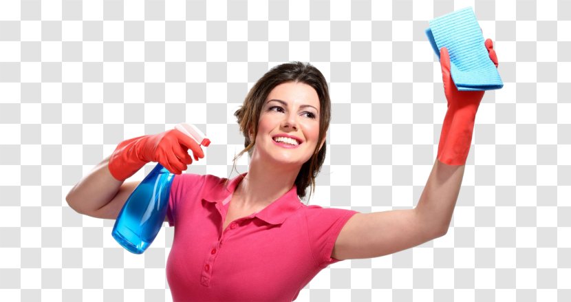 Window Cleaner Cleaning Maid Service - Washing - Your House Business A Blueprint For Succe Transparent PNG