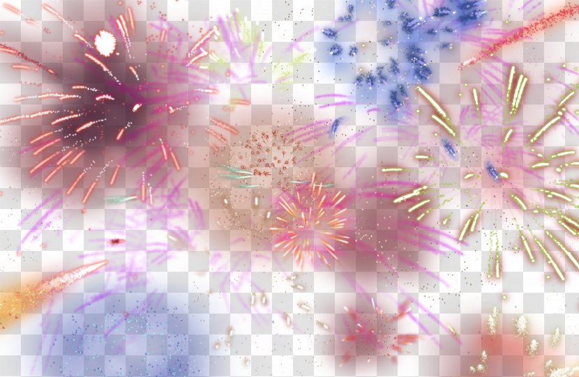 Adobe Fireworks Icon - Flower Transparent PNG