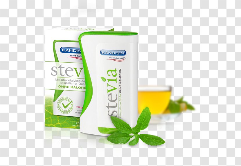 Herbalism Stevia Plant - Herbal Transparent PNG