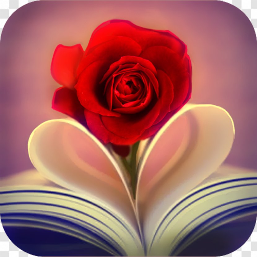Heart Desktop Wallpaper Rose Flower Valentine's Day - Order - Romance Novel Transparent PNG