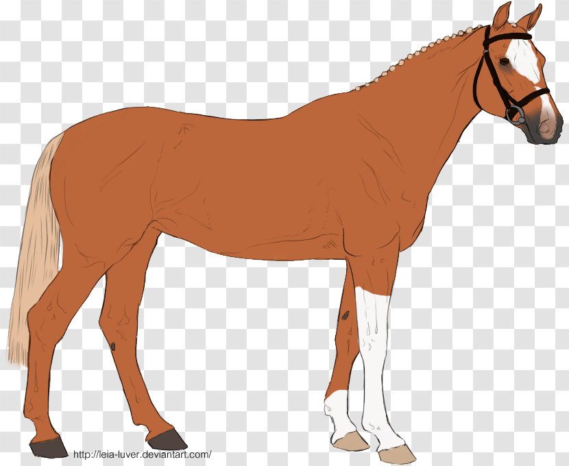 Mule Foal Stallion Mare Mustang - LADY BUG Transparent PNG
