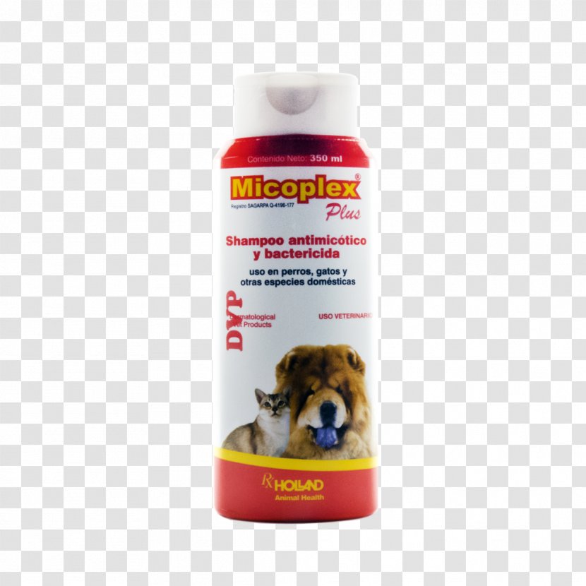 Shampoo Huvica Veterinary Marketing Miconazole Chlorhexidine Health - Overthecounter Drug Transparent PNG