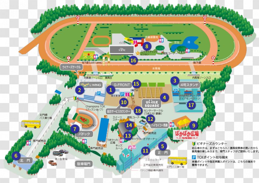 Ohi Racecourse Tokyo Daishōten TCK女王盃 Horse Racing Fukushima Race Course - Water Resources - City Transparent PNG