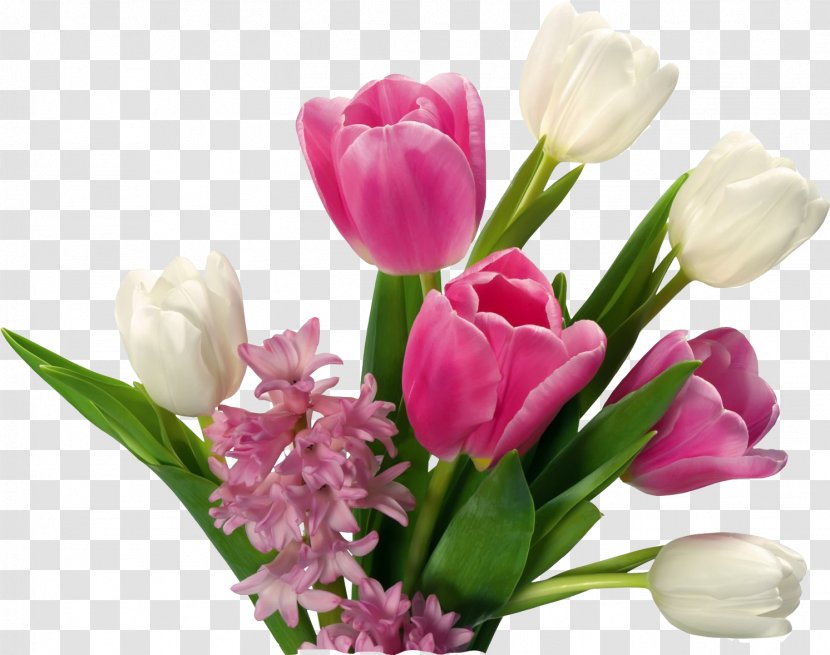 Flower Petal Cut Flowers Tulip Pink - Lily Family Bouquet Transparent PNG