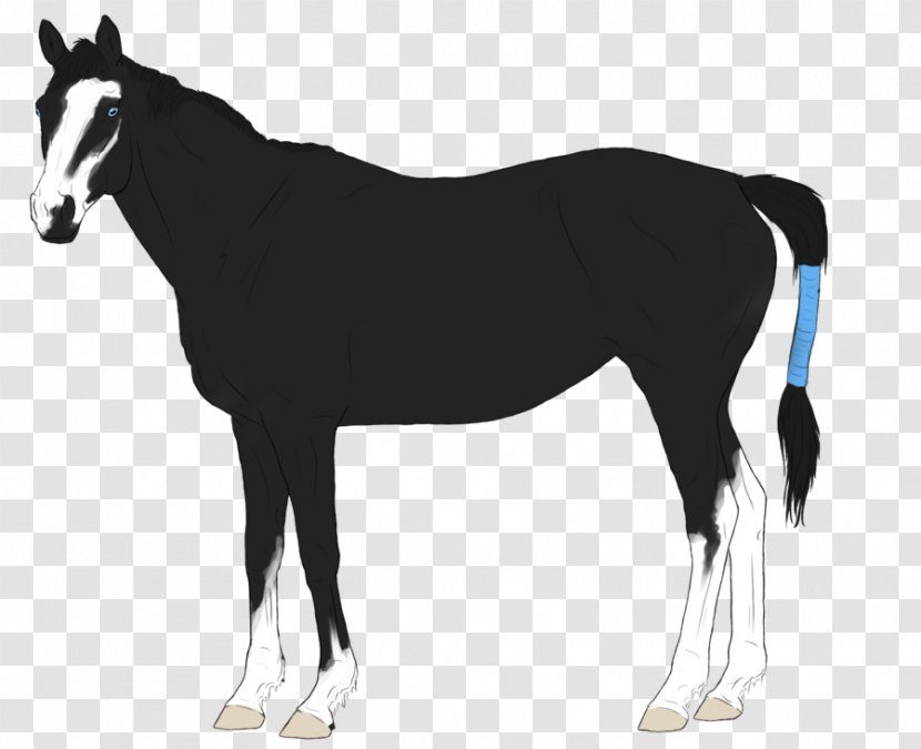 Mustang Foal Stallion Mare Colt - Horse Supplies Transparent PNG