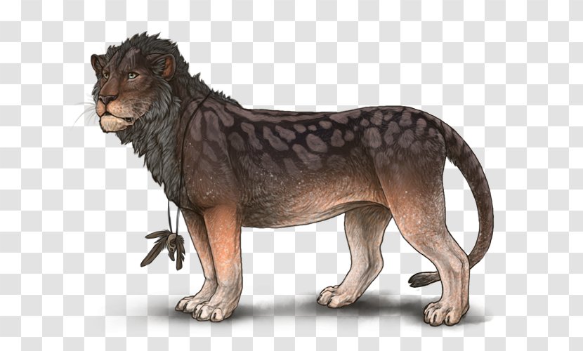 Lion Leopard Cheetah Drawing Felidae - Snout Transparent PNG