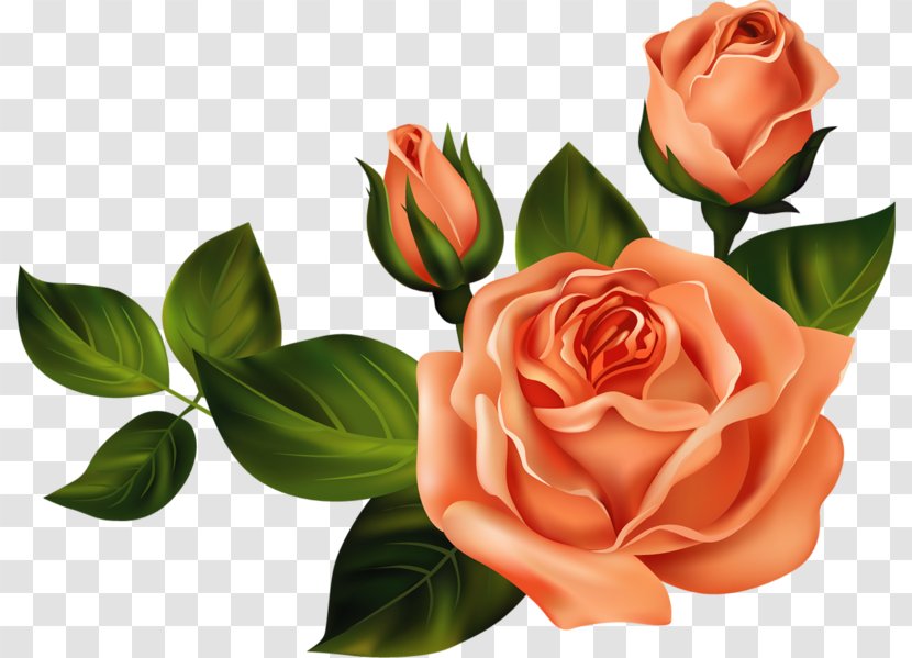 Flower Clip Art - Floristry Transparent PNG