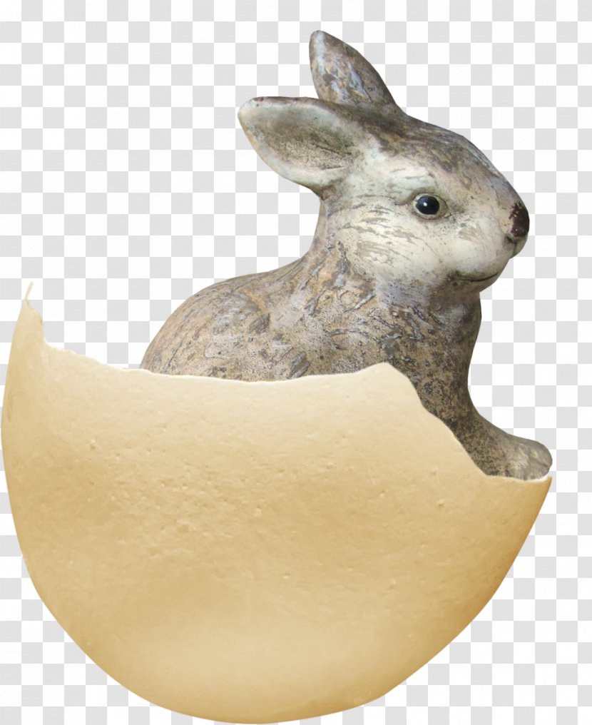 Domestic Rabbit Eggshell - Seashell Transparent PNG
