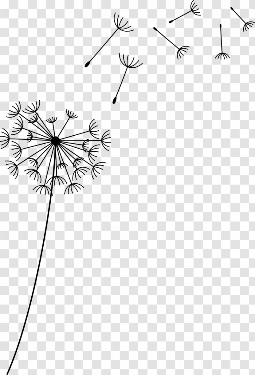 Flower Common Dandelion Clip Art - Leaf Transparent PNG