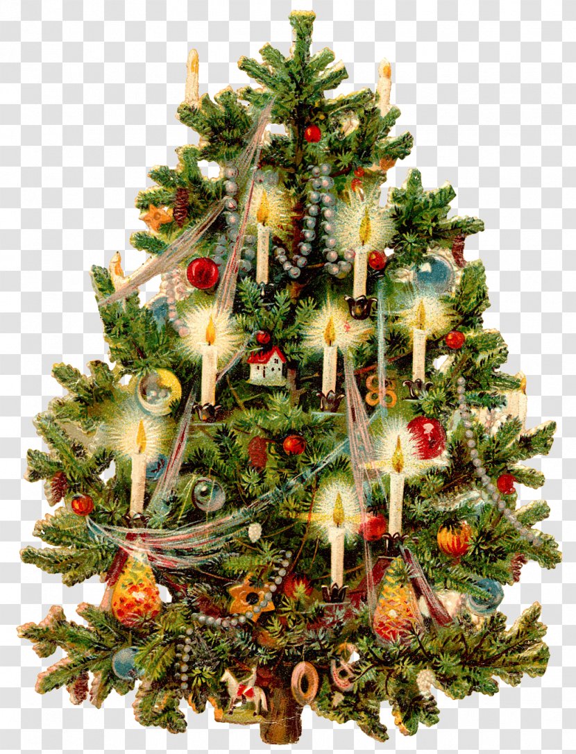 Victorian Era Christmas Tree Card Decoration - Drawing Transparent PNG