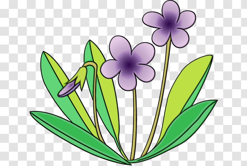 Clip Art Flower Plant Petal Flowering - Wildflower Transparent PNG
