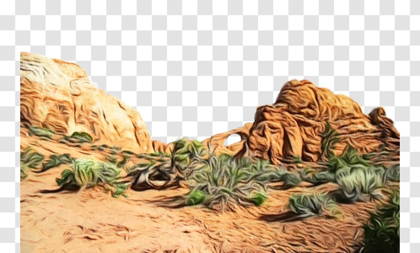 Landscape Plant Tree Grass Rock - Watercolor - Desert Transparent PNG