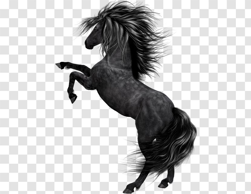 Black Mustang Pony Stallion Clip Art - Blackandwhite - Horse Drawing Standing Transparent PNG