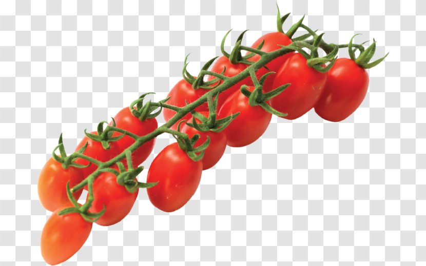 Tomato - Natural Foods - Plum Plant Transparent PNG
