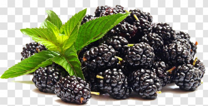 Blackberry Juice Berries Fruit Composition Of Electronic Cigarette Aerosol - Water Bottles - Rubus Subgenus Transparent PNG