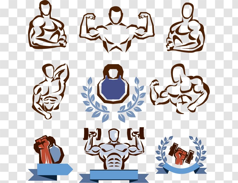 Fitness Centre Physical Weight Training Clip Art - Bodybuilding - Creative Hand-painted Logo Transparent PNG