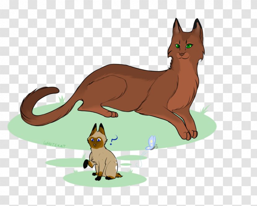 Whiskers Kitten Red Fox Cat Dog - Wildlife - Childhood Days Transparent PNG