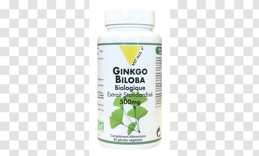 Organic Food Dietary Supplement Ginkgo Biloba Gélule - Ginkgo-biloba Transparent PNG