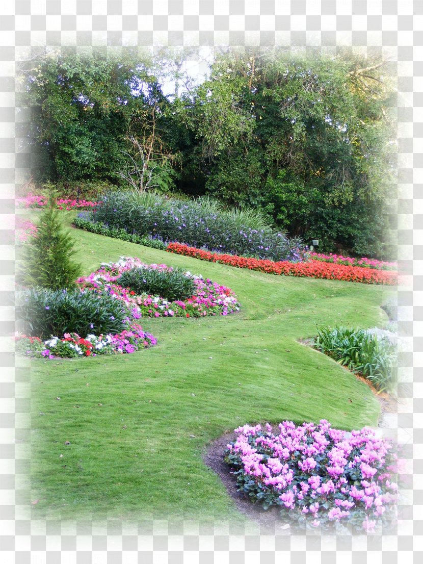 Hedge Landscaping Gardening Sod - Meadow Transparent PNG