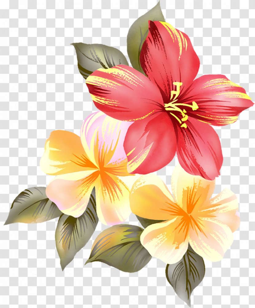 Evening Love Good Romance - Flower - Gazania Transparent PNG