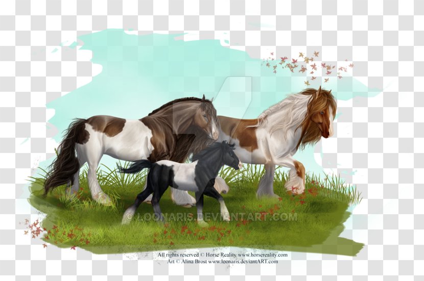 Gypsy Horse Mane Mustang Stallion Mare - Equus Transparent PNG